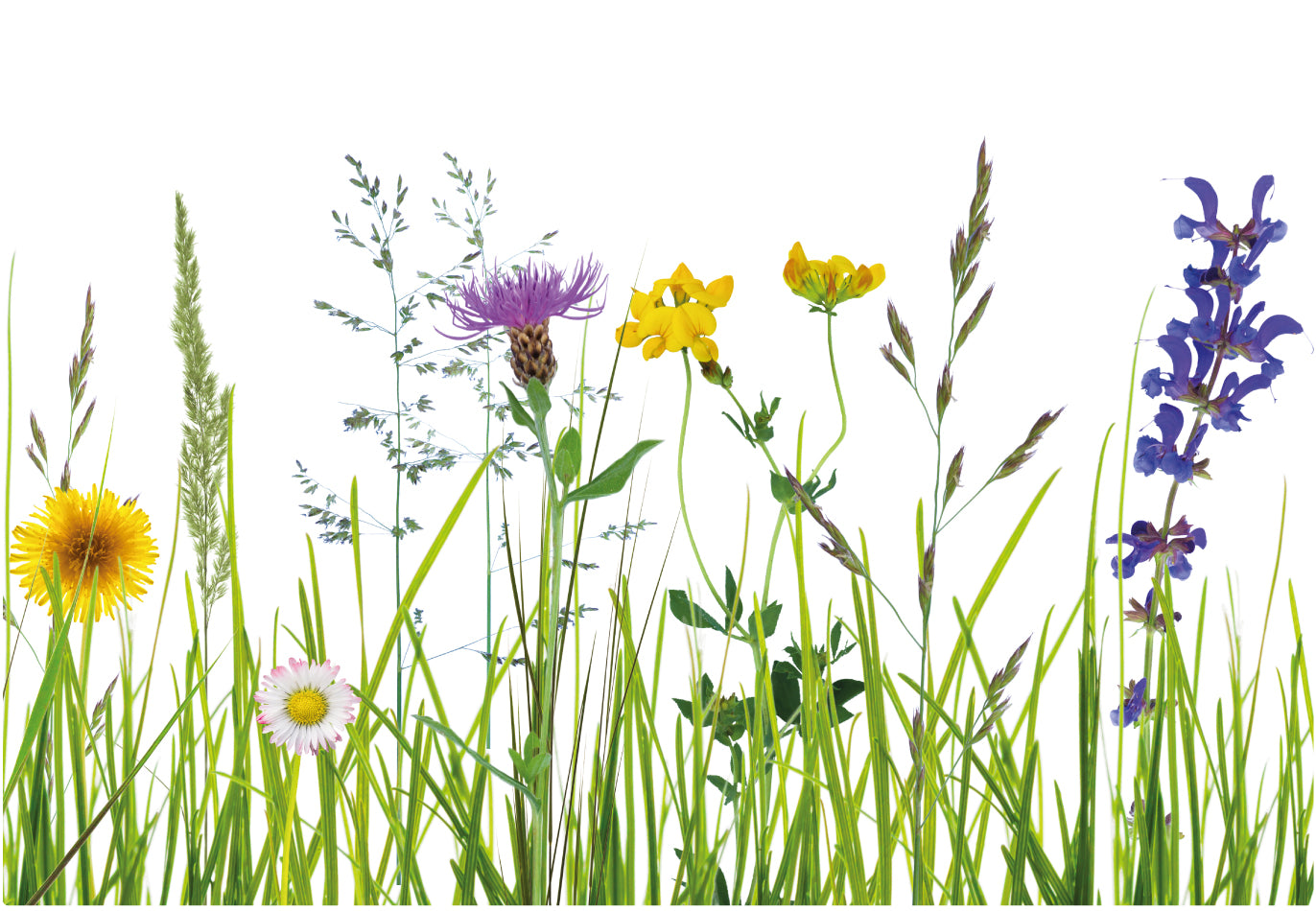 Fotos Blumenwiese - Magnetfolie für USM Haller, verschiedene Größen, mit und ohne Griffausschnitt