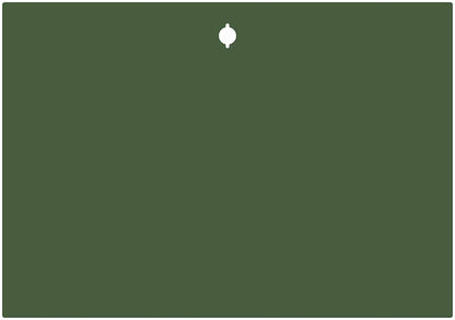 Magnetfolie in Kaktusgrün für USM Haller mit Griffausschnitt in verschiedenen Größen