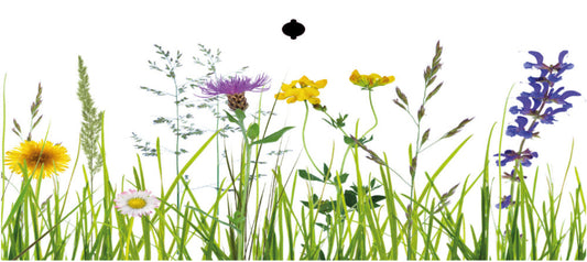 Fotos Blumenwiese - Magnetfolie für USM Haller, verschiedene Größen, mit und ohne Griffausschnitt